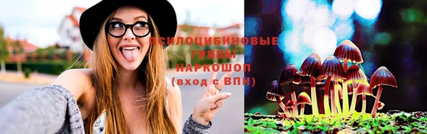 молекула духа Алексеевка