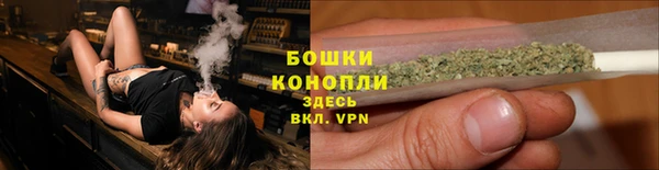 трава Абаза