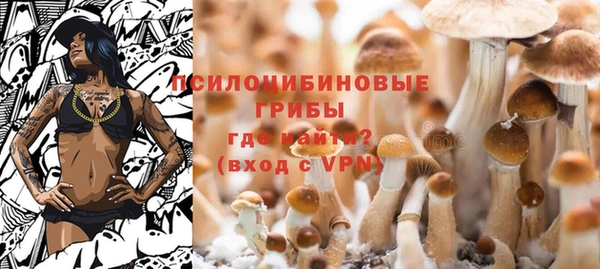 скорость Алзамай