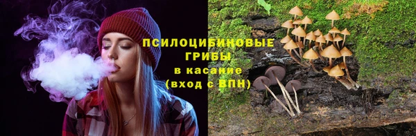 ПСИЛОЦИБИНОВЫЕ ГРИБЫ Абинск